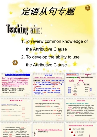 定语从句专题
