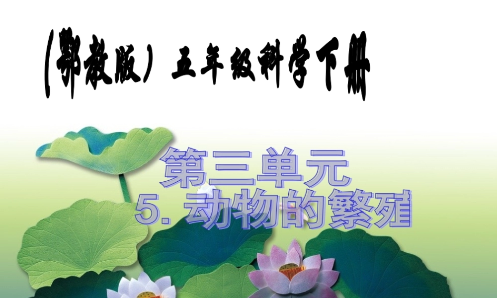 (鄂教版小学科学五年级下册《动物的繁殖》PPT课件