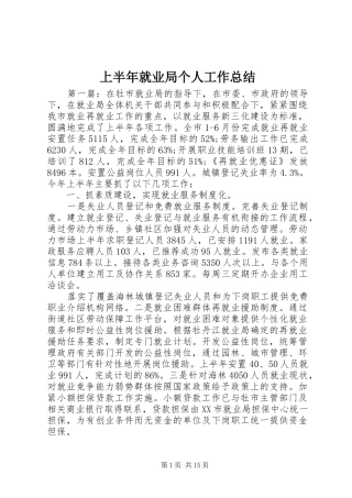 上半年就业局个人工作总结