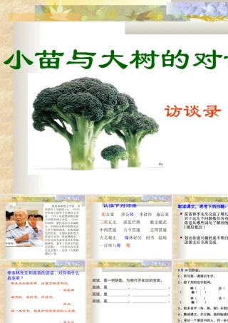 小苗与大师的对话