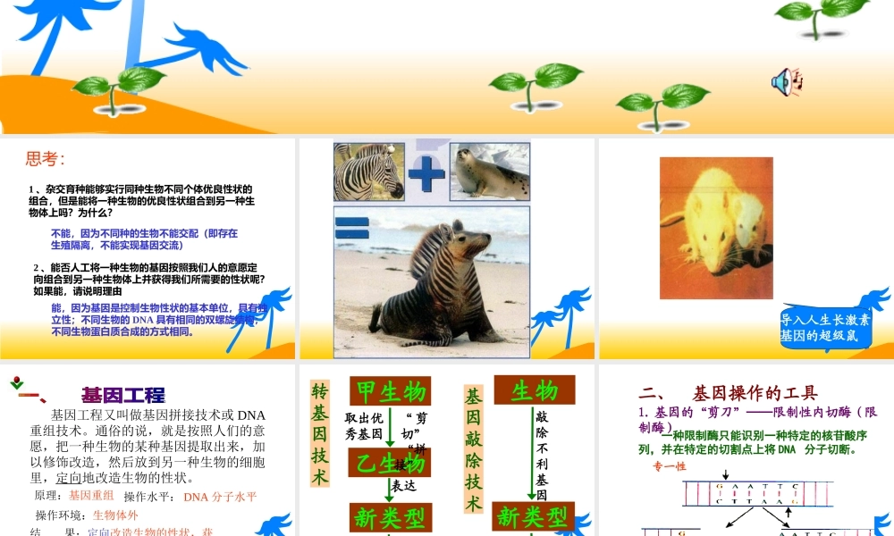 基因工程及其应用 (2)