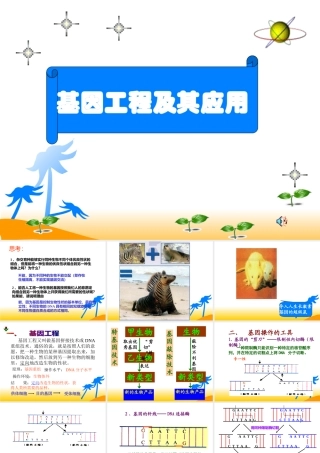 基因工程及其应用 (2)
