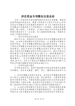 涉农资金专项整治自查总结