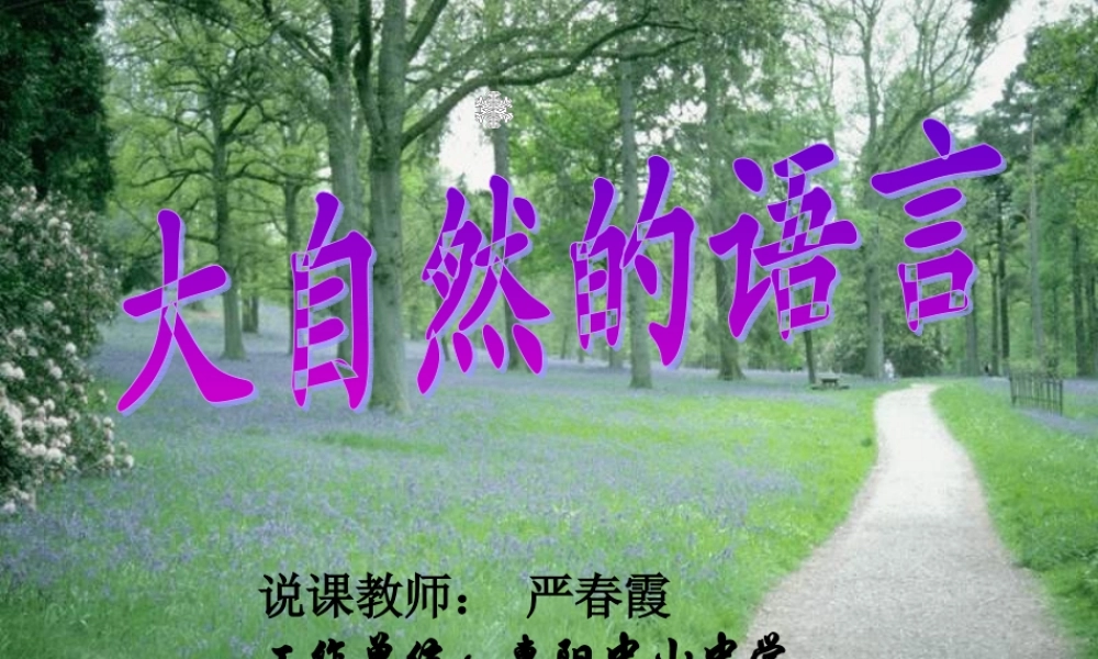 大自然的语言说课课件