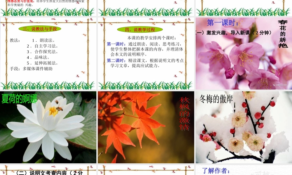 大自然的语言说课课件