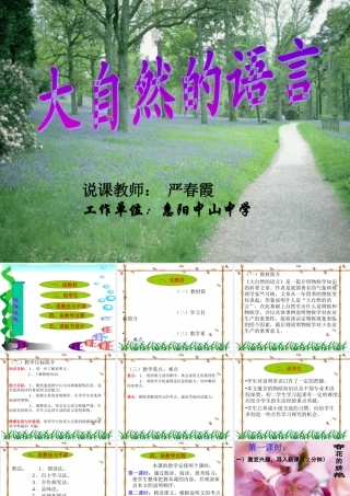 大自然的语言说课课件
