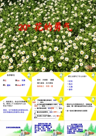 《花的勇气》教学课件1