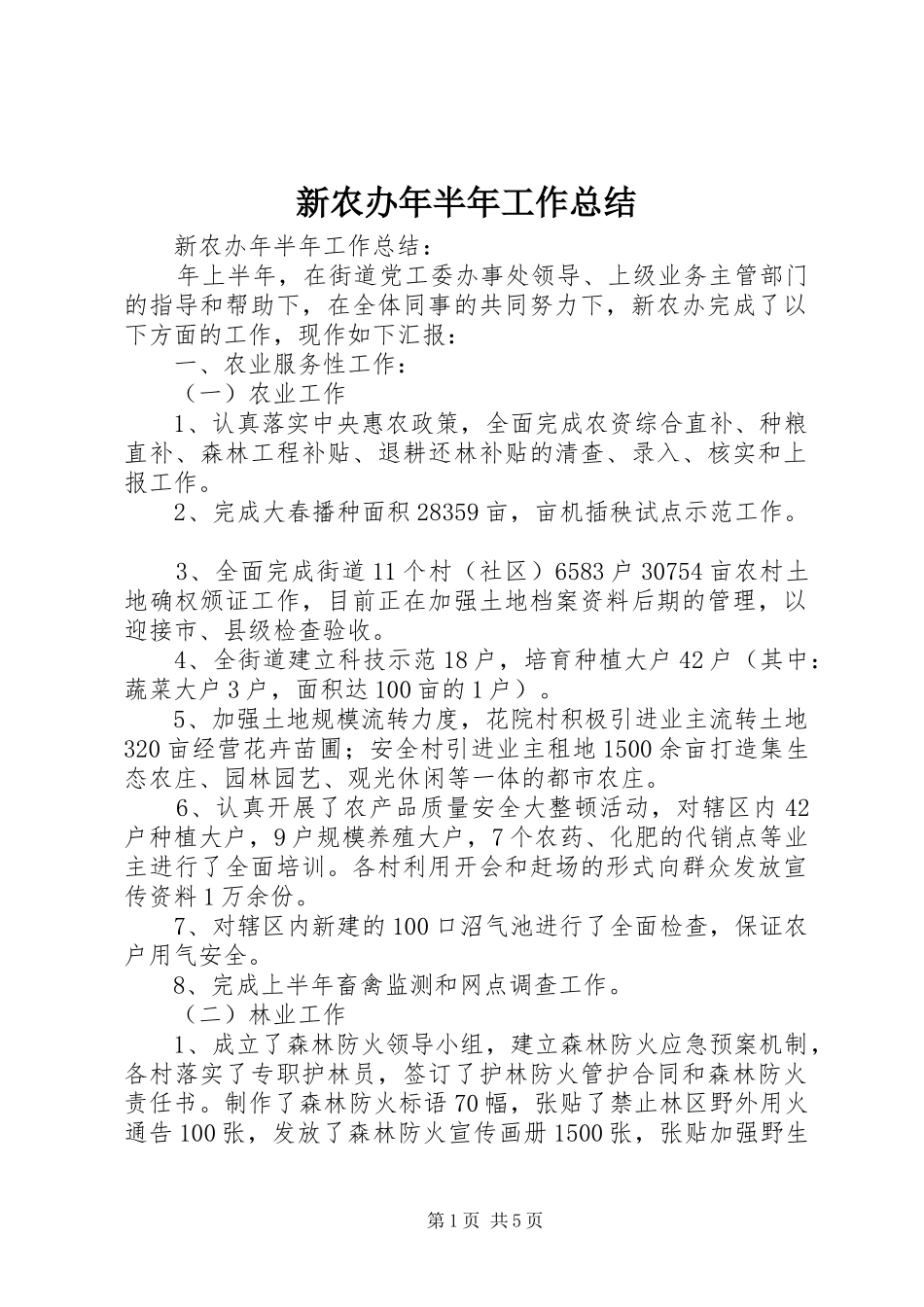 新农办年半年工作总结_1_第1页