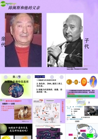 《细胞核是遗传信息库》课件