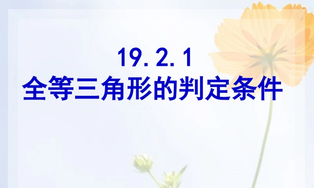 全等三角形的判定条件课件华师大版