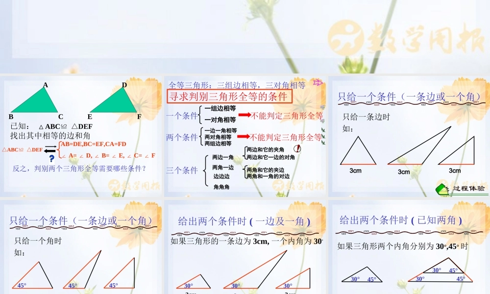 全等三角形的判定条件课件华师大版