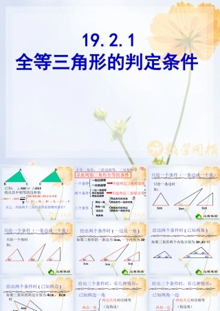 全等三角形的判定条件课件华师大版