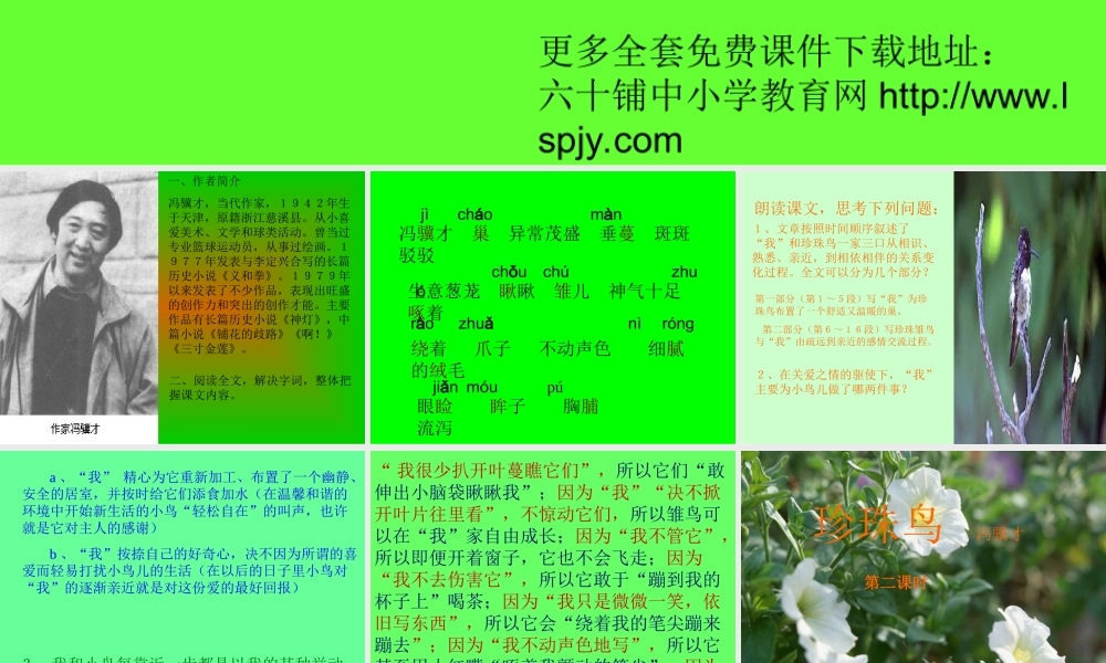 小学五年级上册语文第十六课珍珠鸟PPT课件2