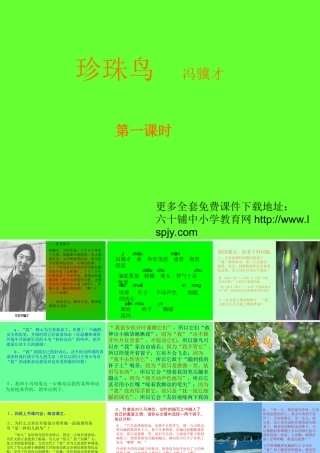 小学五年级上册语文第十六课珍珠鸟PPT课件2