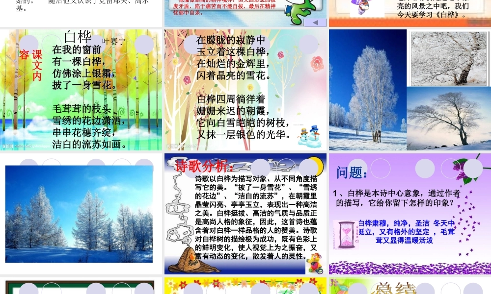 白桦精美课件