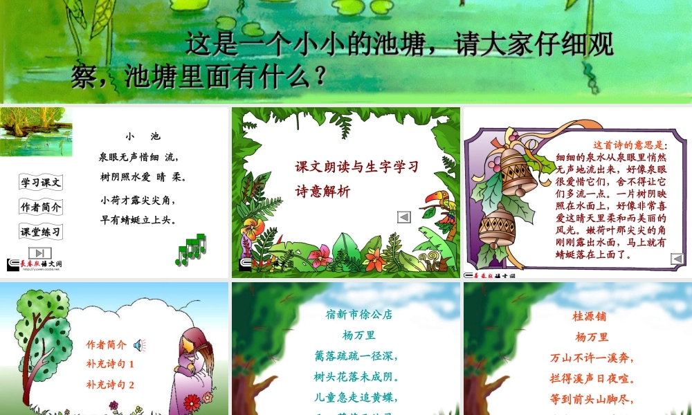《小池》课件