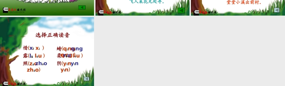 《小池》课件