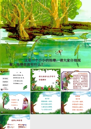 《小池》课件