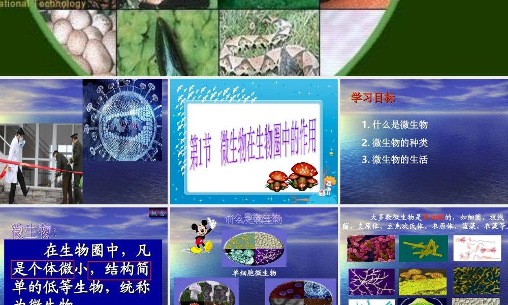 生物圈中微生物