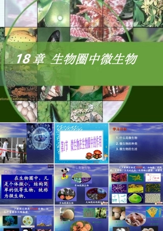 生物圈中微生物