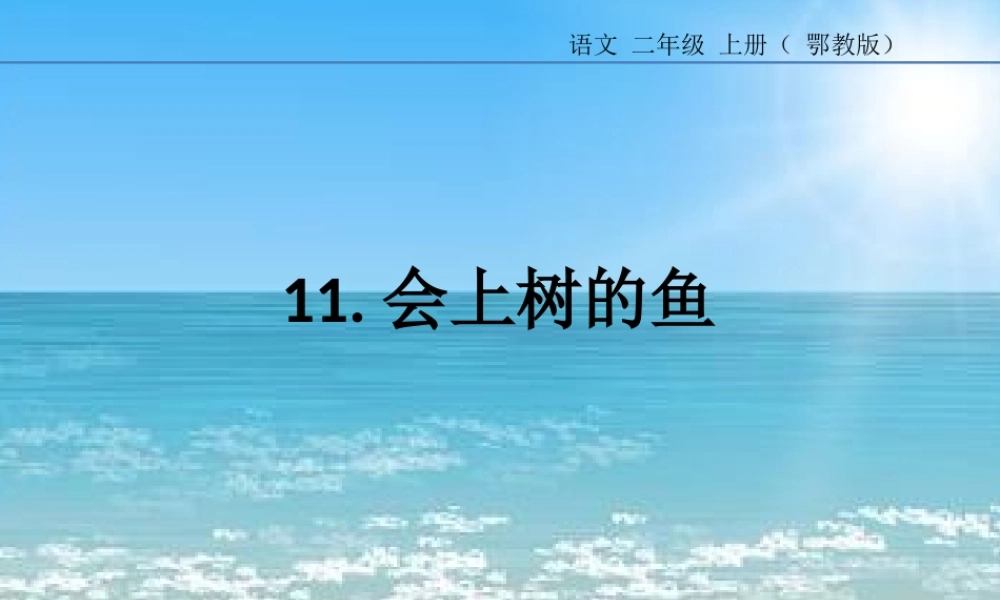 会上树的鱼课件