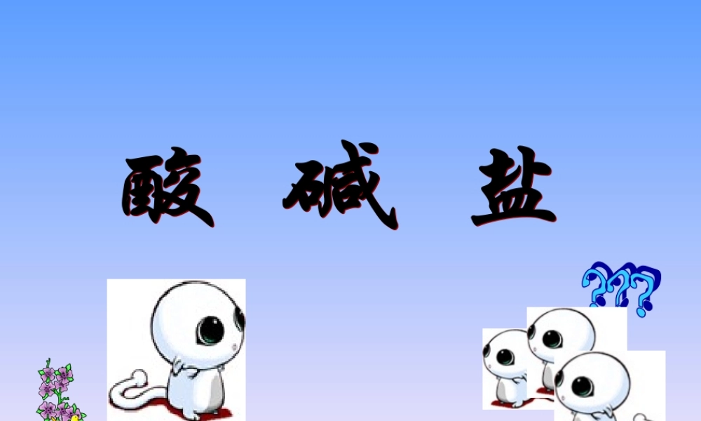 初中化学酸碱盐总复习