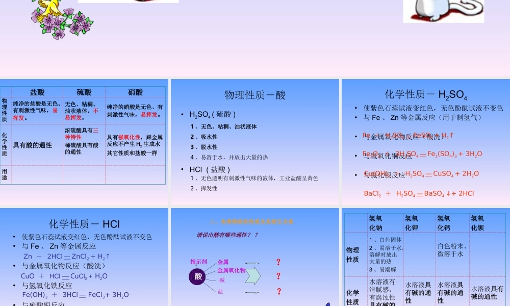 初中化学酸碱盐总复习