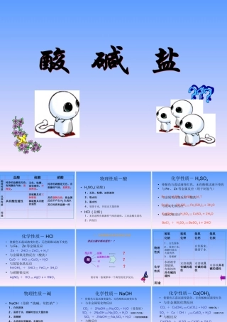 初中化学酸碱盐总复习