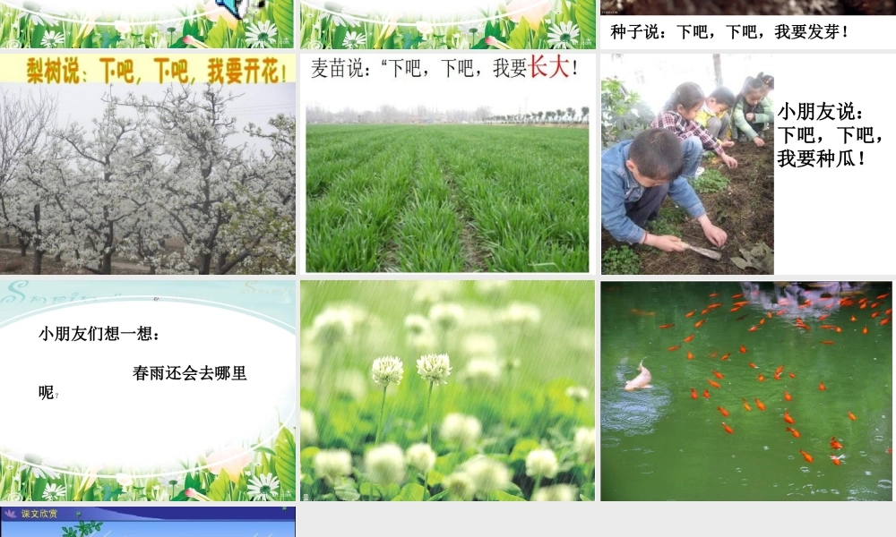 语言《春雨》MicrosoftPowerPoint幻灯片