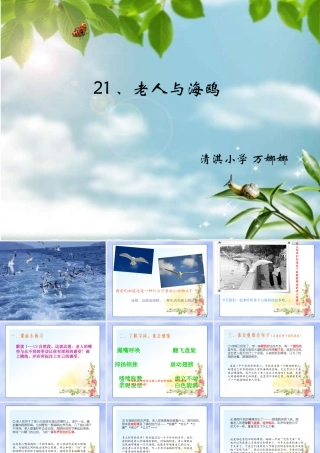 清淇小学万娜娜课件