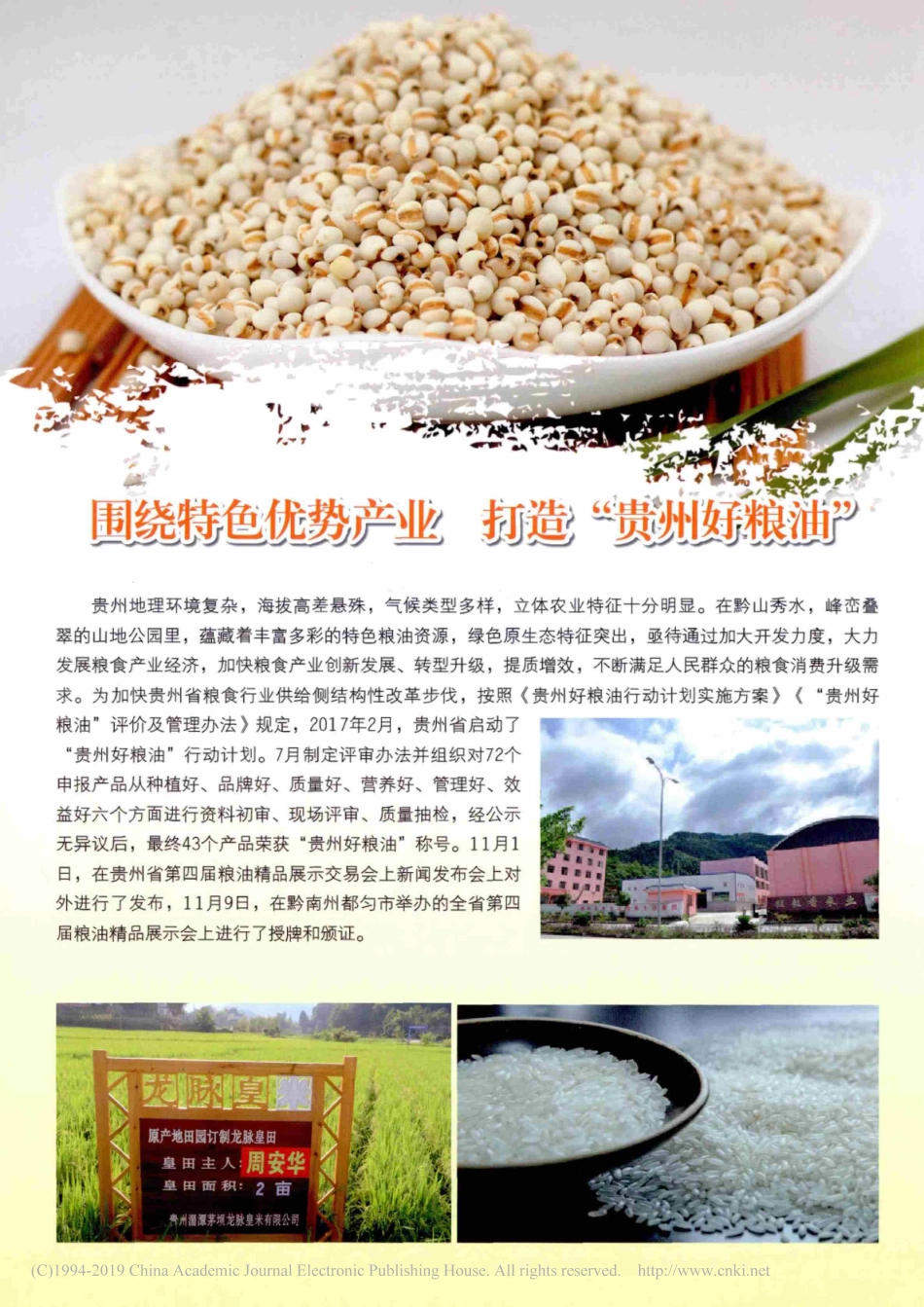 围绕特色优势产业__打造_贵州好粮油_第1页