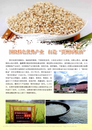 围绕特色优势产业__打造_贵州好粮油