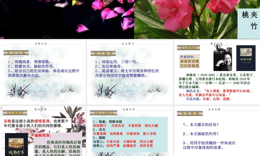 爸爸的花儿落了课件