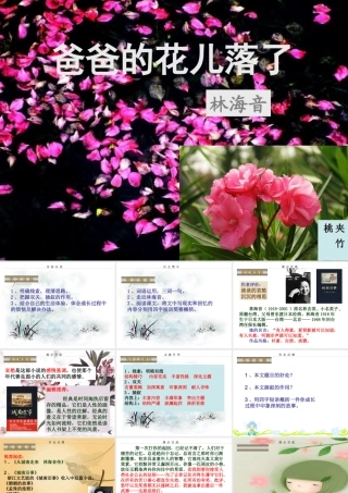 爸爸的花儿落了课件