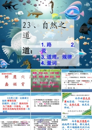 自然之道(公开课)