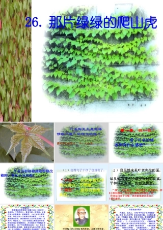 那片绿绿的爬山虎第一课时