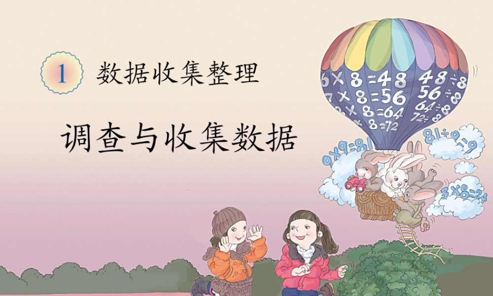 调查与收集数据PPT (2)