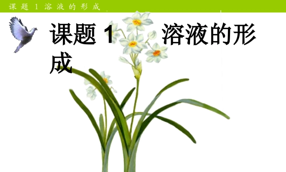 课题1溶液的形成课件