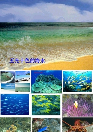 富饶的西沙群岛正