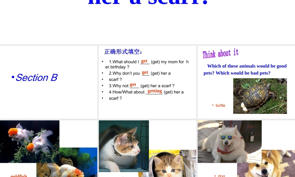 新目标八年级英语下unit8sectionB_1a-2c课件