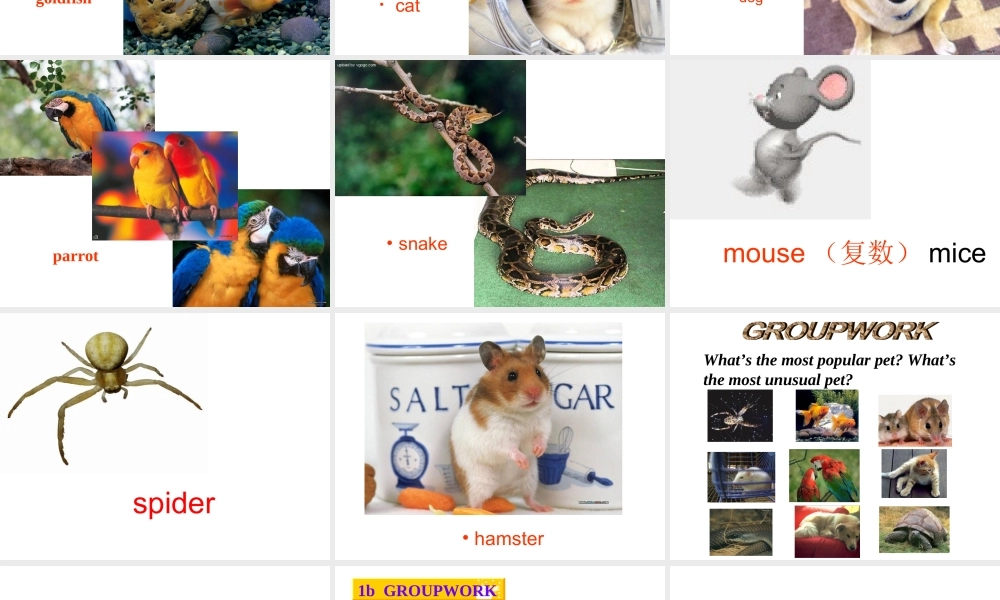 新目标八年级英语下unit8sectionB_1a-2c课件