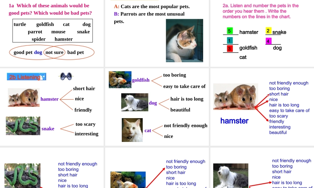 新目标八年级英语下unit8sectionB_1a-2c课件