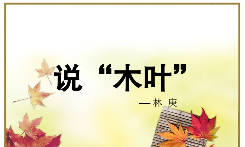 《说“木叶”》课件