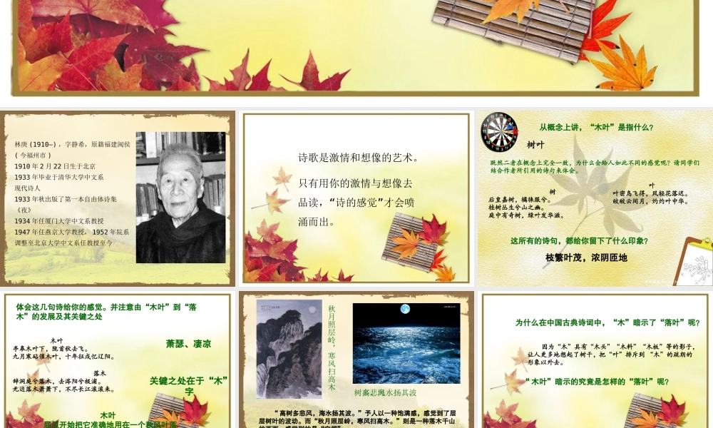 《说“木叶”》课件