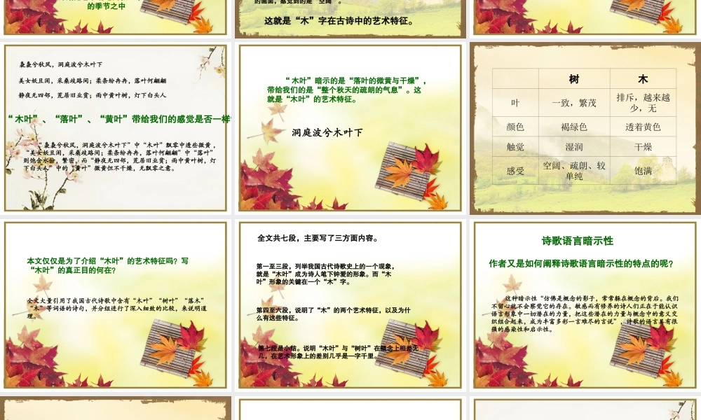 《说“木叶”》课件