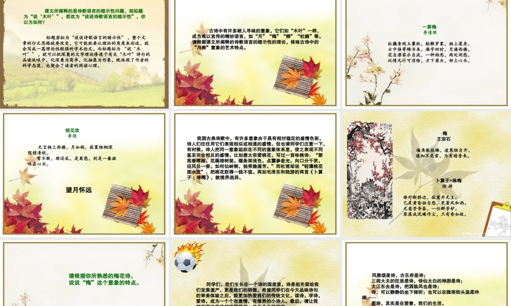 《说“木叶”》课件