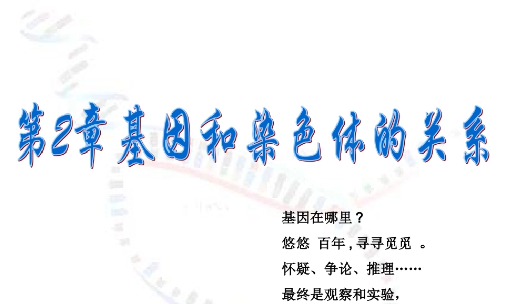 减数分裂与有性生殖细胞的形成