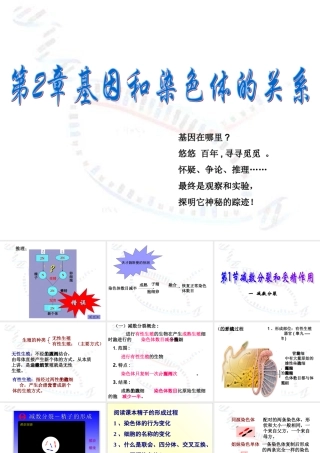 减数分裂与有性生殖细胞的形成
