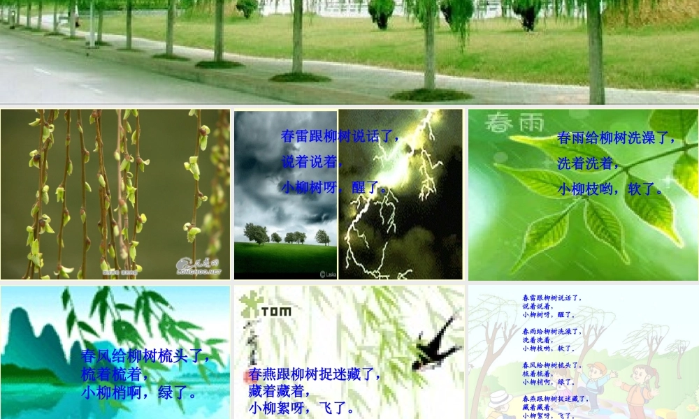 《柳树醒了》