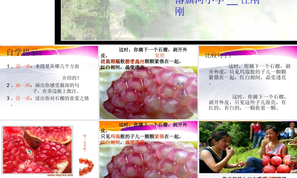 苏教版三年级上册微型课《石榴》PPT课件
